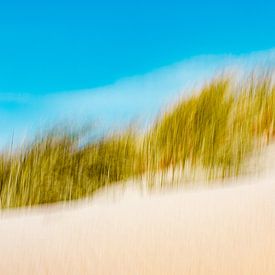 Dünen ICM von Yanuschka | Fotografie Noordwijk