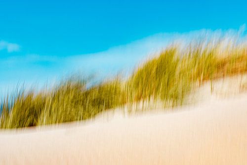 Duinen ICM