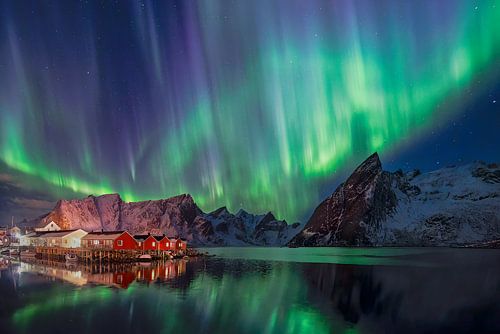 Lofoten-Blick auf Hamnøy - Nordlichter