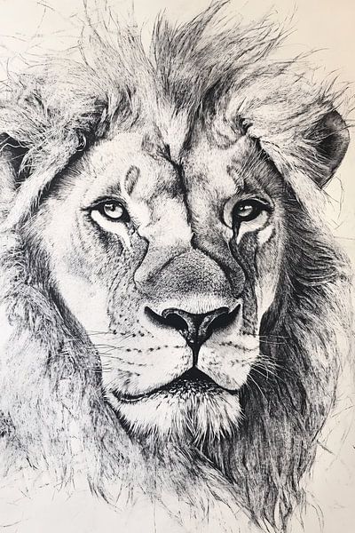 Detailed black-and-white lion portrait by Imperial Art House