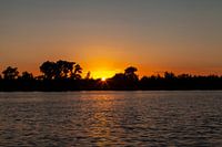 Sunset at the Biesbosch