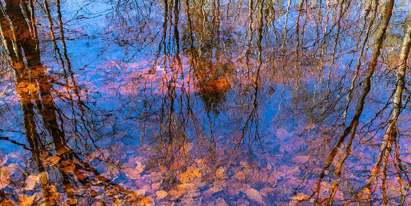 Reflections by Monika Scheurer