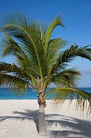 Aruba