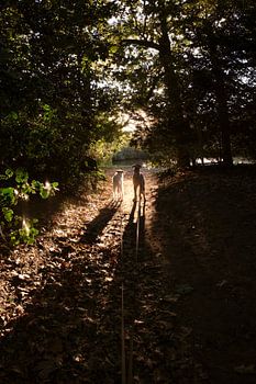 Was ist auf der anderen Seite?