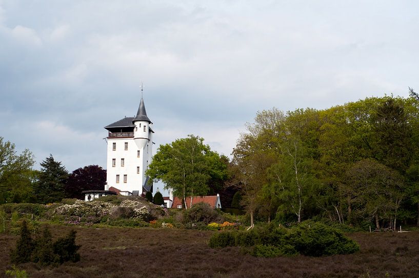 Palthetower von Anita van Hengel