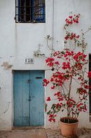 Ibiza | Architektur | Straßenfotografie