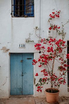 Ibiza | Architektur | Straßenfotografie