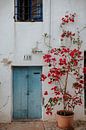 Intiem, romantisch huisje op Ibiza | Architectuur | Straatfotografie van eighty8things thumbnail