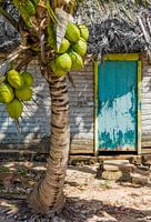 Cuba Cabin