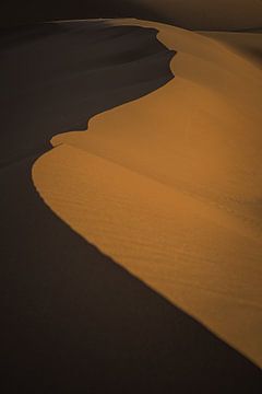 Contrasten in de duinen van Marokko van Tobias van Krieken