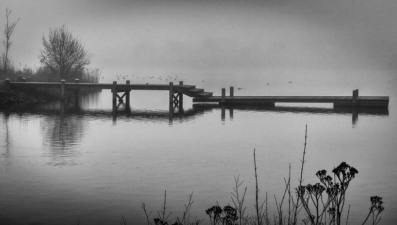 Silence by Mariette Alders