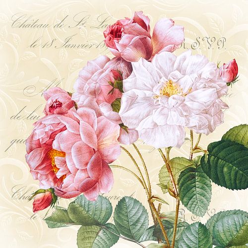 Edele roos met gele achtergrond