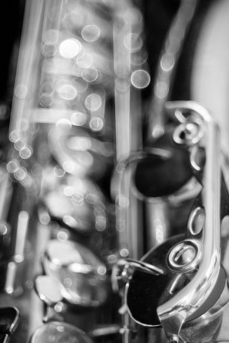 De oude saxofoon - zwart en wit