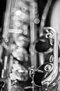 The old saxophone - black and white par Rolf Schnepp Aperçu
