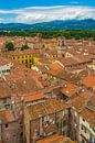 Lucca, Italië - Uitzicht vanaf Torre delle Ore - 2 van Tux Photography thumbnail