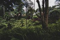 Botanische jungle van Ronne Vinkx thumbnail