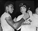 Muhammad Ali & Johansson par Bridgeman Images Aperçu