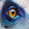 Œil d'animal en contraste de couleurs Regard intense en détail sur Eva Lee