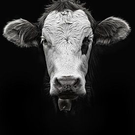 Allgäukuh XI von GoodMoodPhotos