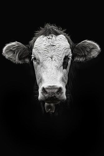 Allgäukoe XI van GoodMoodPhotos