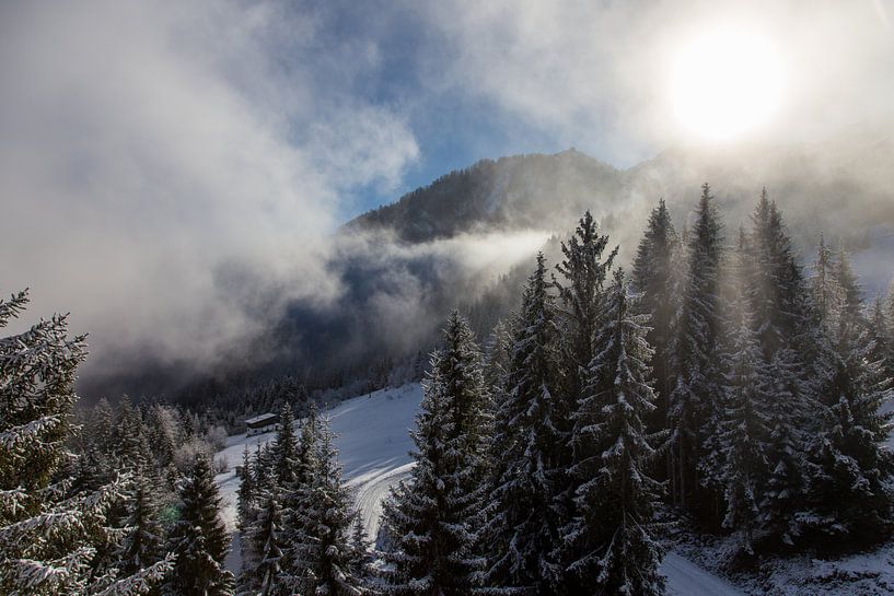 ray of light von Guido Akster