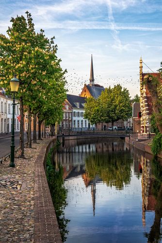 Westerkerk in Amersfoort met vogels in de lucht.