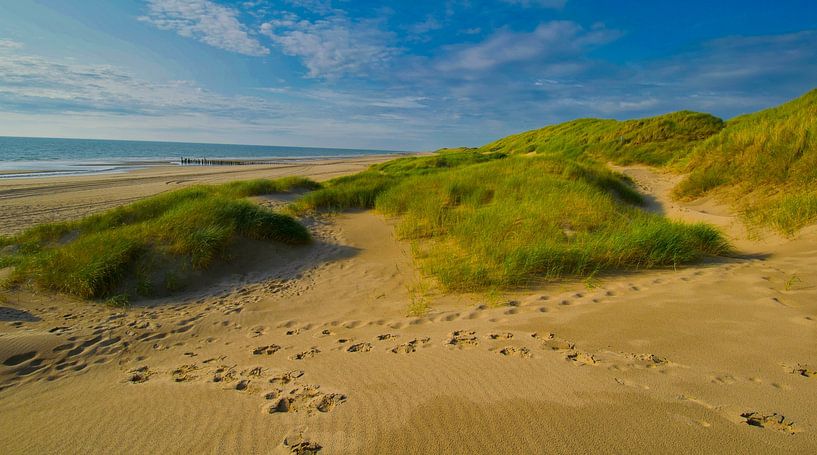 Coastal landscape in North Holland by Tanja Voigt