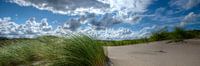 Dunes avec ammophile et ciel bleu, 30 x 90 cm.