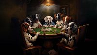 Poking dogs panorama