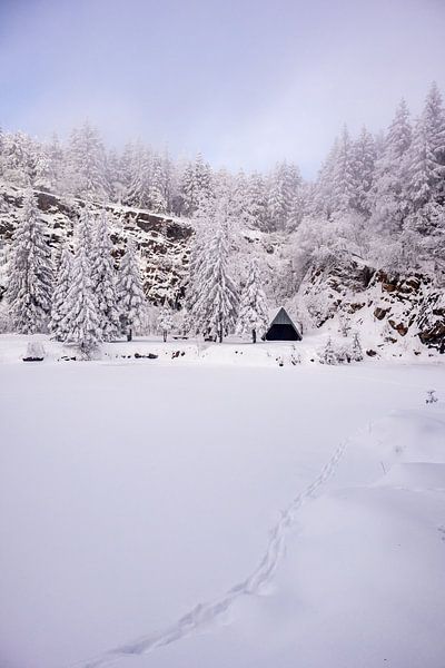 Cross-country skiing in the snowy Thuringian Forest near Floh-Seligenthal - Thuringia - Germany by Oliver Hlavaty