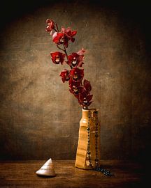 Allure by Saskia van der Linden