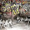 Coexist – Wölfe in der Betonwildnis von WeltReisender Magazin