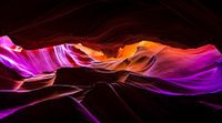 The colors of Antelope.. van Sander Wustefeld thumbnail