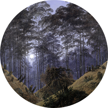 Bosinterieur bij maanlicht, Caspar David Friedrich