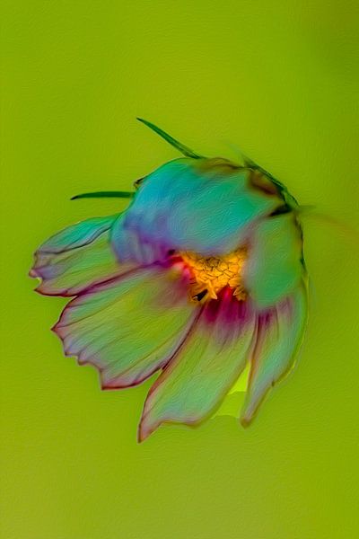 Verträumtes Foto einer Blume von Lucas De Beleyr