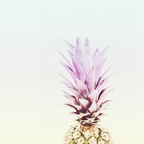 PASTEL PINEAPPLE no2