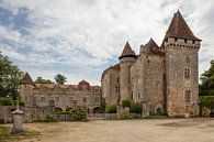 Schloss / Château de La Marthonie in Saint-Jean-de-Côle, Frankreich von Joost Adriaanse Miniaturansicht