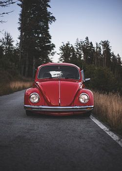 VW Beetle