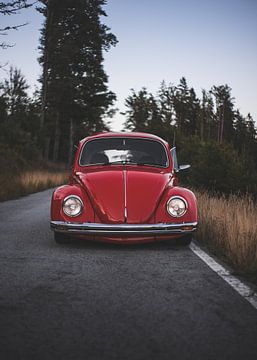 Coccinelle VW sur Christian Marold