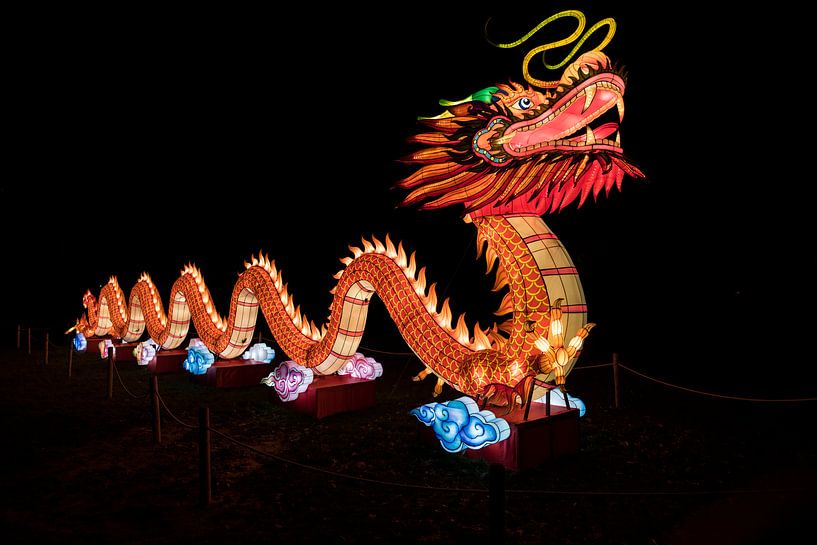 dragon for the chinese new year by ChrisWillemsen