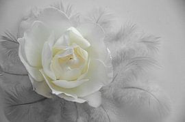 Softer than soft by Ellinor Creation