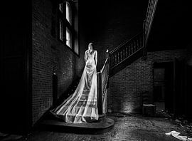 Step Up by Sake van Pelt