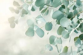 Eucalyptus leaves by Poster Art Shop