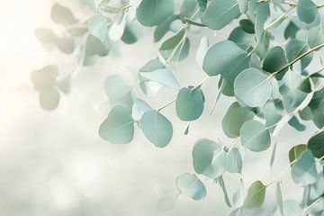 Eucalyptusbladeren van Poster Art Shop