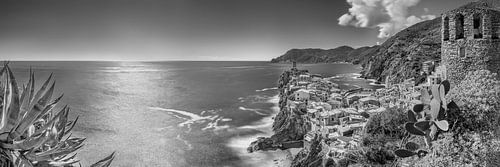 Panorama van Vernazza in de Cinque Terre in Italië. Zwart-wit B