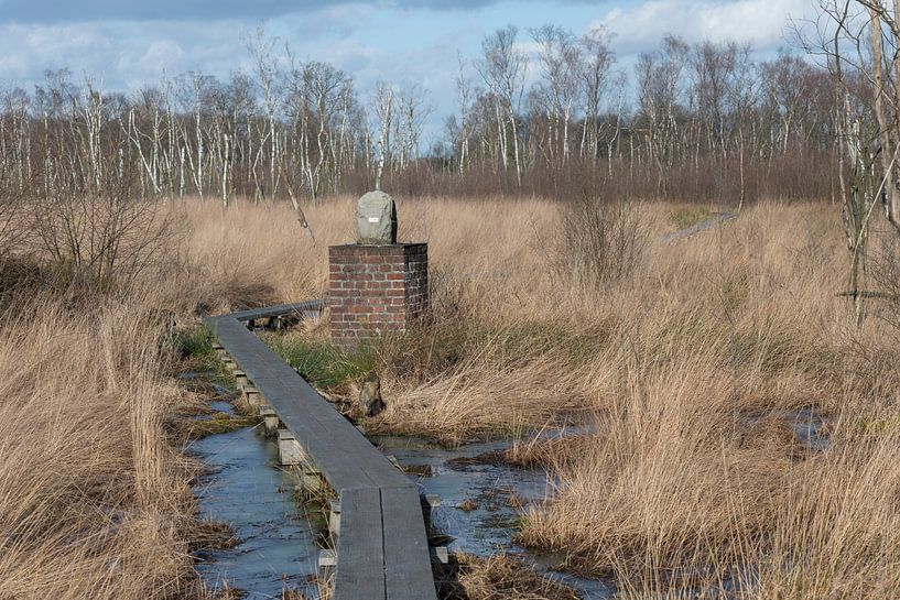 Grenspaal in natuurreservaat het Wooldse veen in Winterswijk von Tonko Oosterink