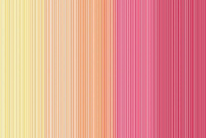 Sky Blossom by Shana Kersten