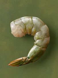 Küchen Fine Art mit Meeresfrucht von Max Steinwald