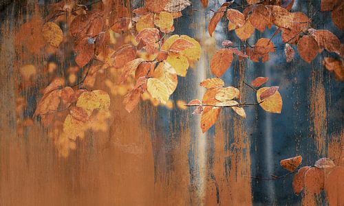 Malerisch rostiges Herbstlaub