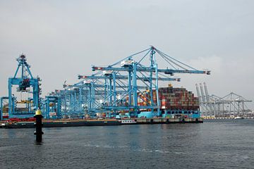 Containerkräne auf der Maasvlakte 2 von Tilly Meijer